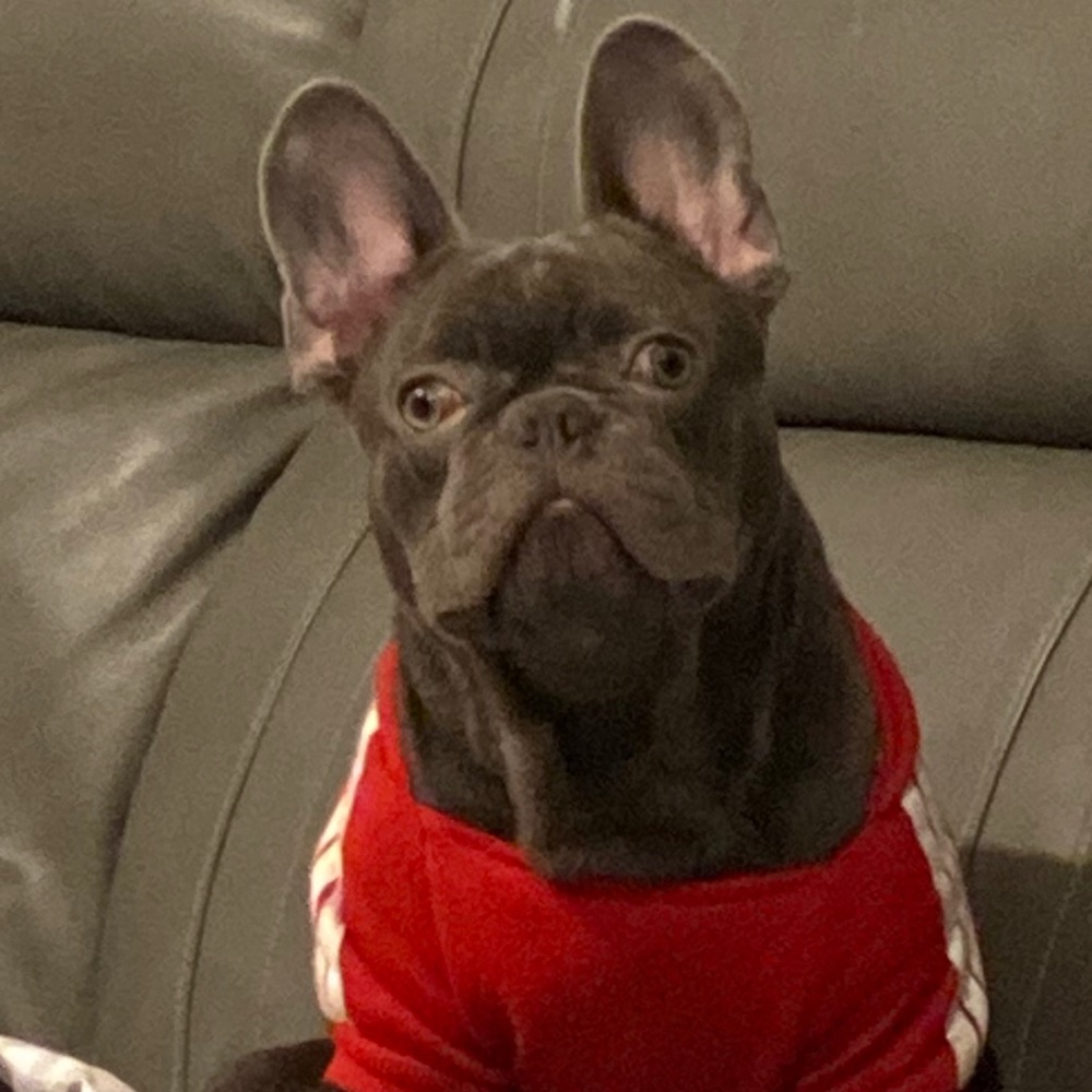 Meet your Posher, Nurse